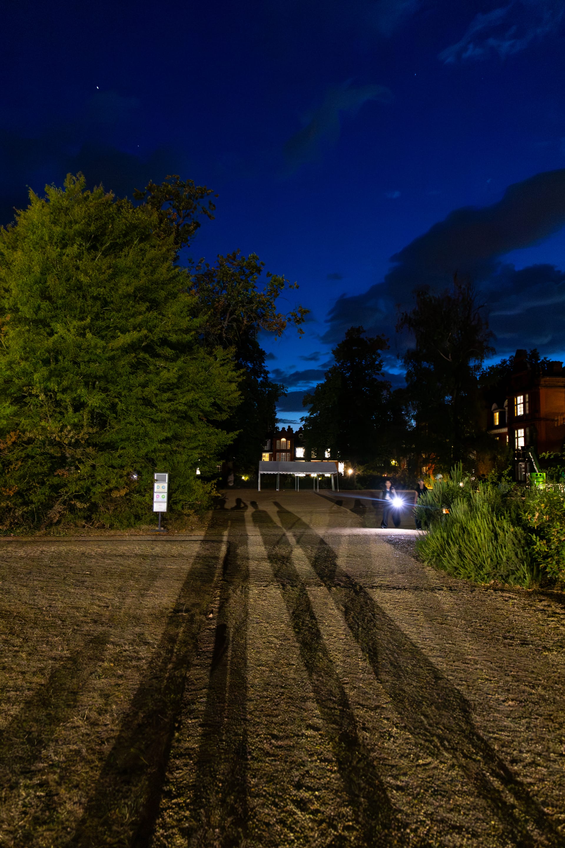 蓝调把我们的影子拉长
